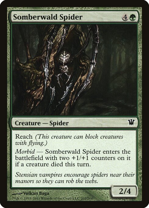 Somberwald Spider (202) - Innistrad - Game On