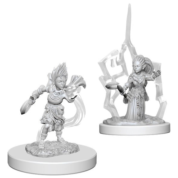 Gnome Female Druid Retired - Character - Game On