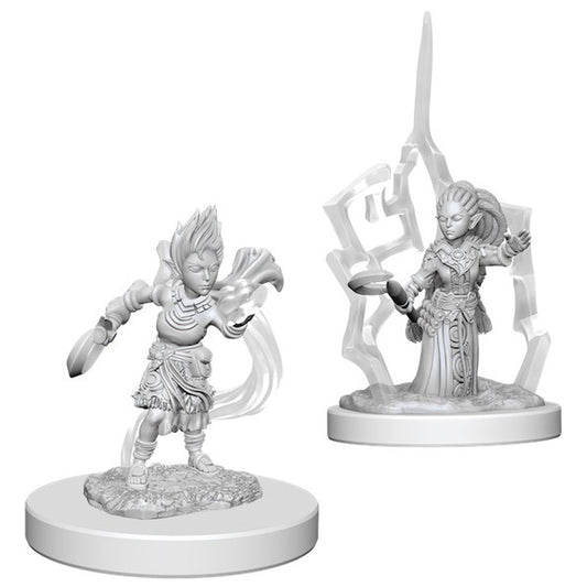 Gnome Female Druid Retired - Character - Game On