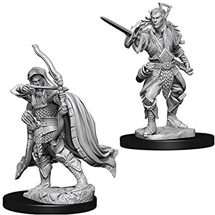 Elf Rogue Male - Character - Game On