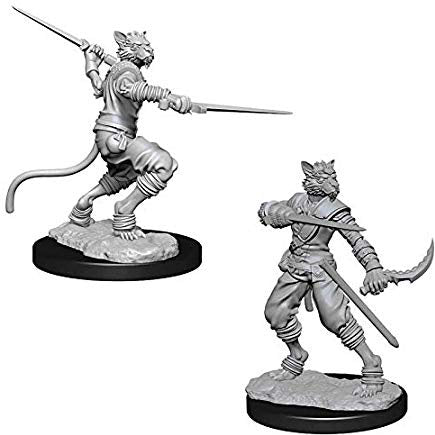 Tabaxi Rogue Male - Character - Game On