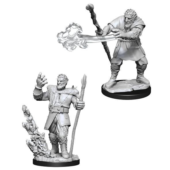 Firbolg Druid Male - Character - Game On