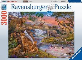 Animal Kingdom 3000 pc - Game On