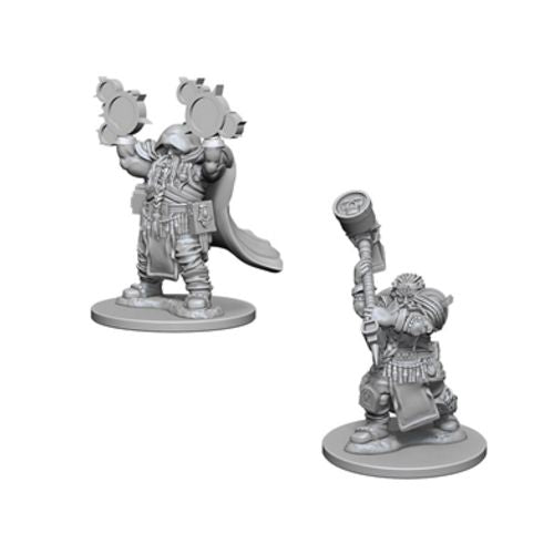 Dwarf Cleric Male W02 - Character - Game On