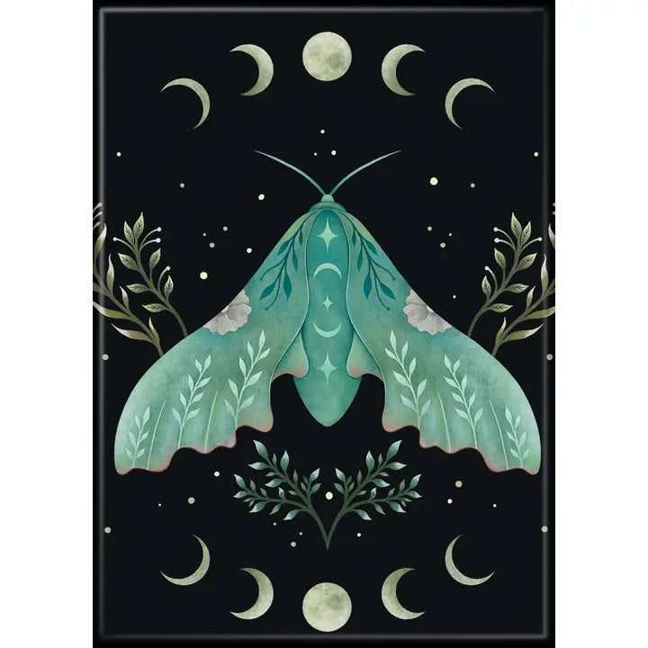 Episodic Drawing Luna and Moth Magnet - Game On