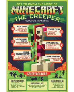 Minecraft - Creepy Behavior - Game On