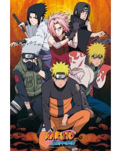 Naruto - Heroes Poster - Game On