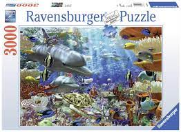Oceanic Wonders 3000 pc - Game On