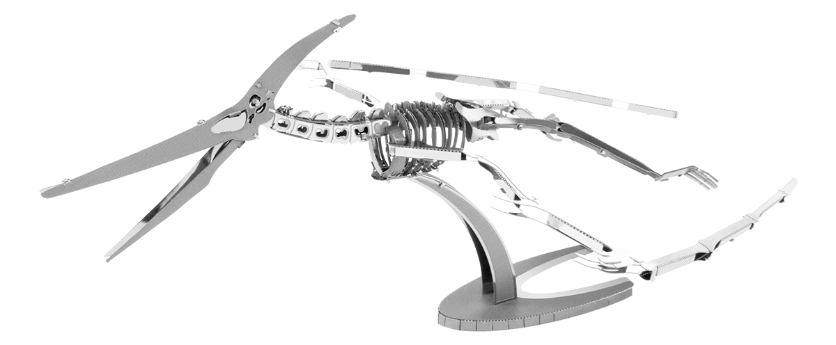 Pteranodon Skeleton - Game On