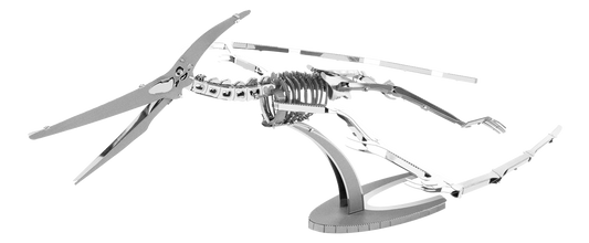 Pteranodon Skeleton - Game On