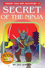 Secret Of The Ninja - Game On