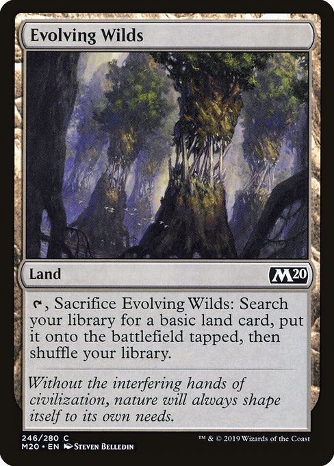 Evolving Wilds (246) (Foil) - Core Set 2020 - Game On