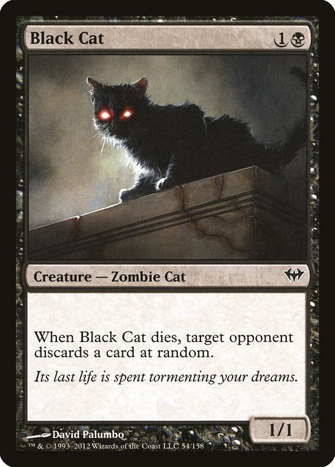 Black Cat (54) (Foil) - Dark Ascension - Game On