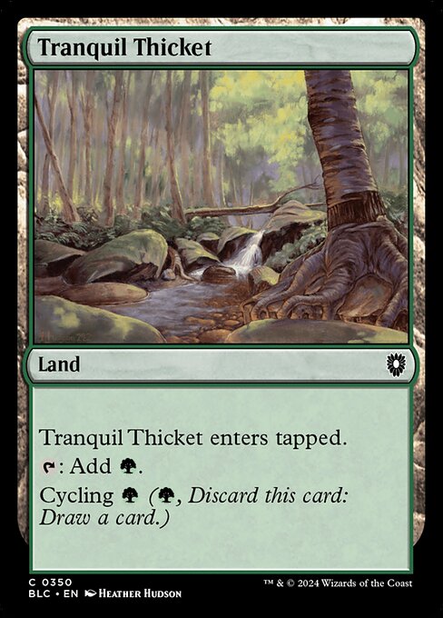 Tranquil Thicket (350) - Bloomburrow Commander - Game On