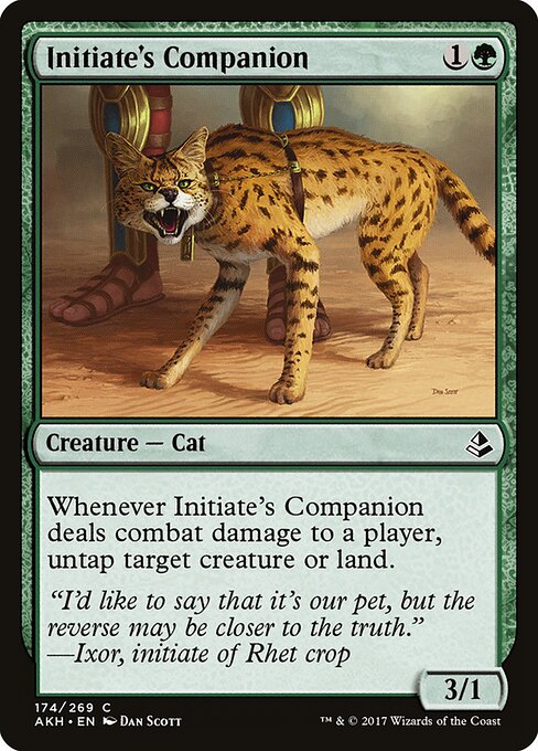 Initiate's Companion (174) (Foil) - Amonkhet - Game On