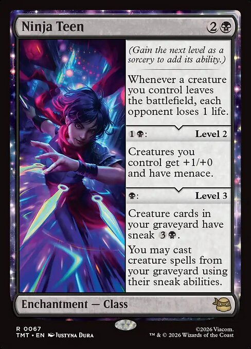 Ninja Teen (67) - Teenage Mutant Ninja Turtles - Game On