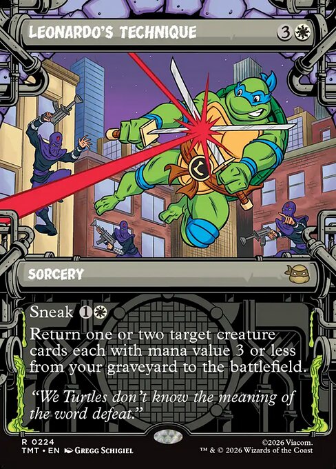 Leonardo's Technique (224) - BORDERLESS - Teenage Mutant Ninja Turtles - Game On