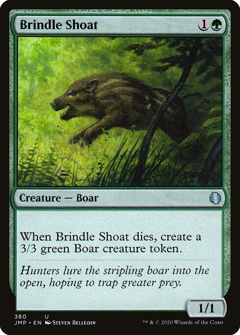 Brindle Shoat (380) - Jumpstart - Game On