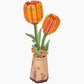 Orange Tulip - Game On