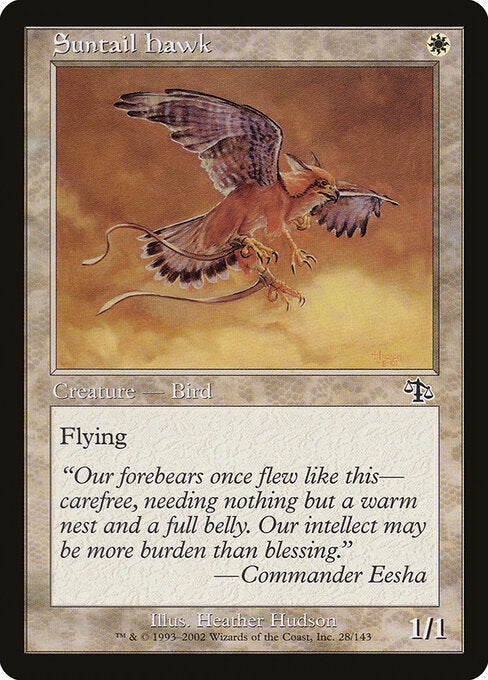 Suntail Hawk (28) - Judgment - Game On
