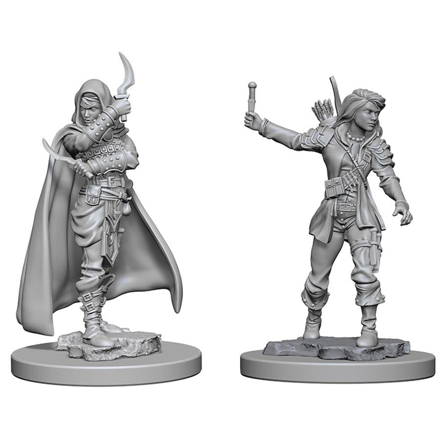 Human Rogue Female - Character - Game On