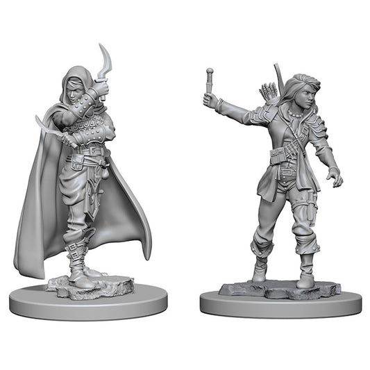 Human Rogue Female - Character - Game On