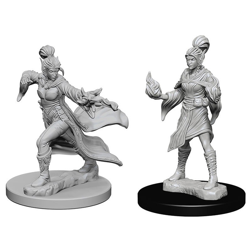 Elf Sorcerer Female - Character - Game On