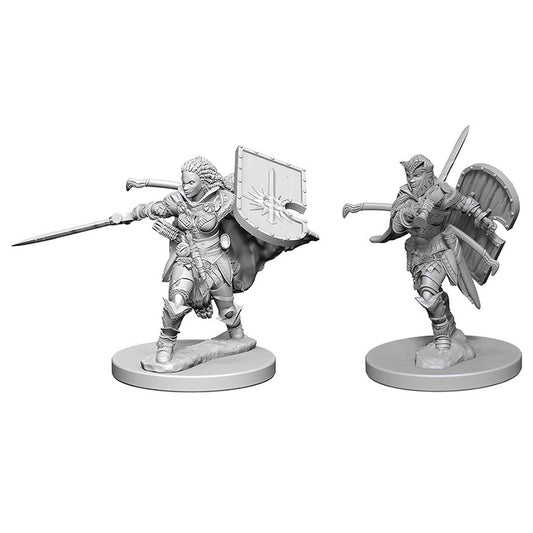 Human Paladin Female - Character - Game On
