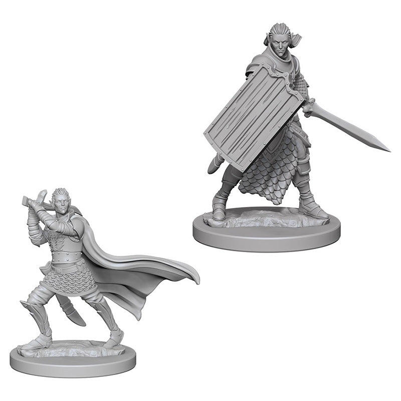 Elf Paladin Male - Character - Game On