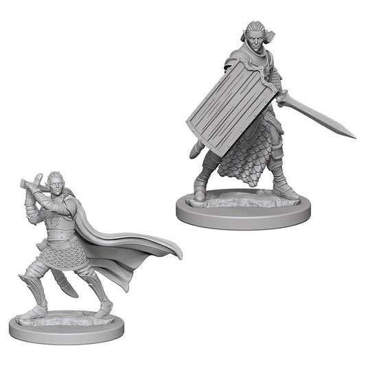 Elf Paladin Male - Character - Game On