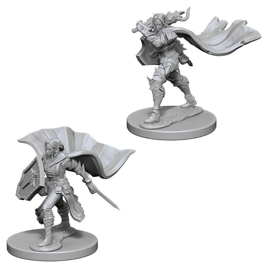 Elf Paladin Female - Character - Game On