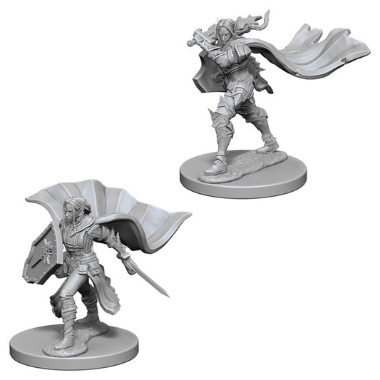 Elf Paladin Female - Character - Game On