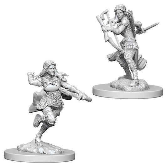 Genasi, Air Rogue Female - Character - Game On