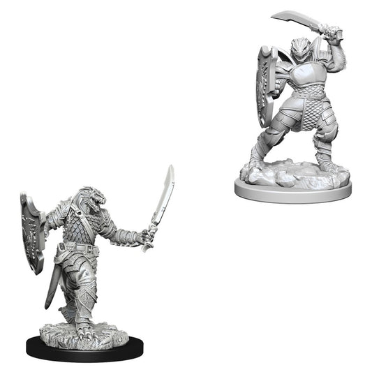 Dragonborn Paladin - Character - Game On