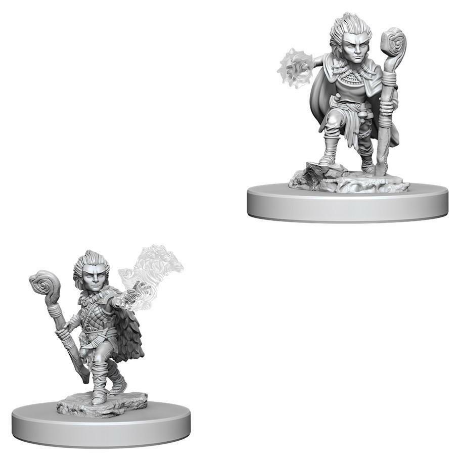 Gnome Male Druid Retired - Character - Game On