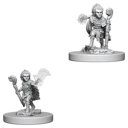 Gnome Male Druid Retired - Character - Game On
