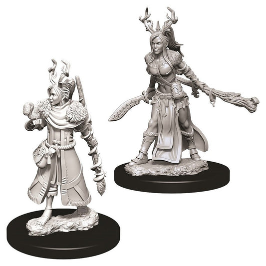 Human Druid Female - Character - Game On