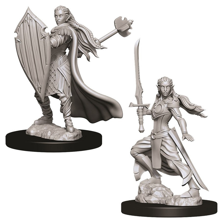 Elf Paladin Female - Character - Game On