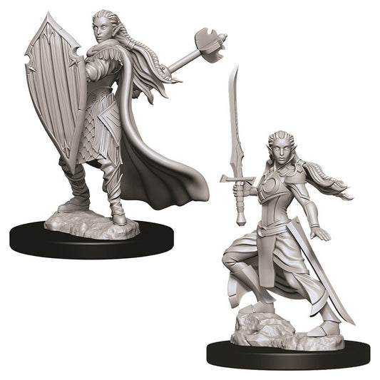 Elf Paladin Female - Character - Game On