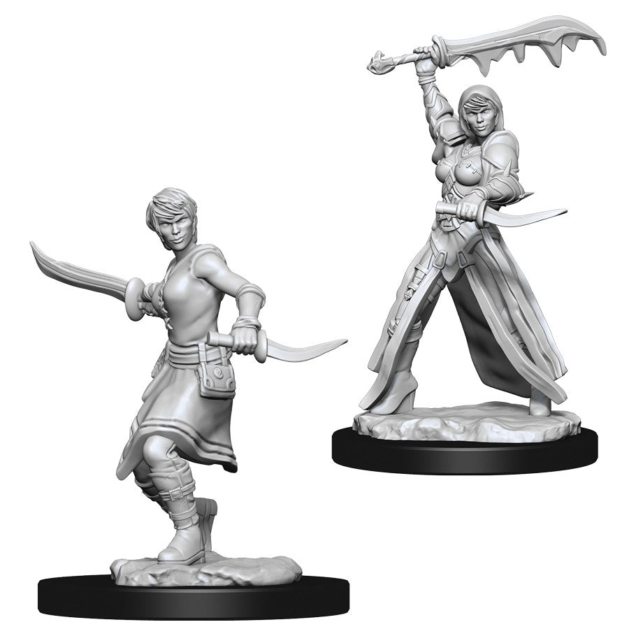 Human Rogue Female - Character - Game On