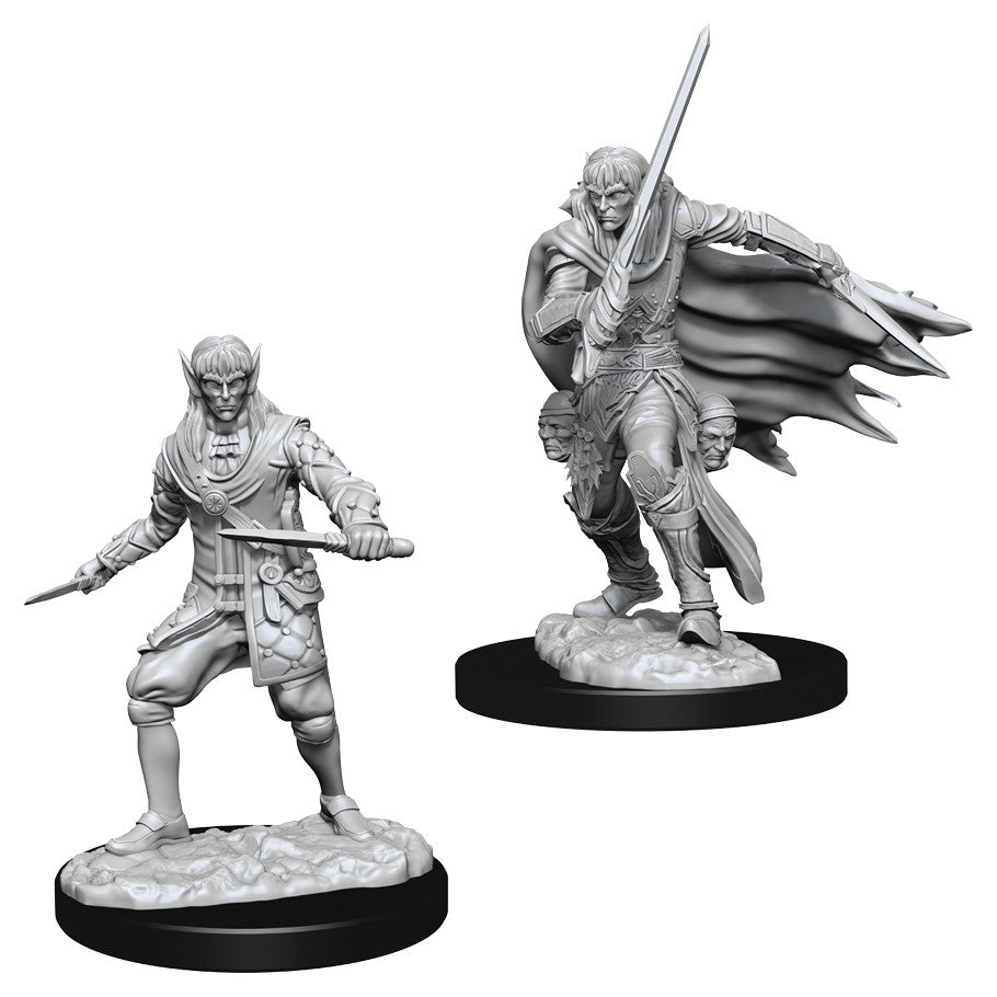 Elf Rogue Male - Character - Game On