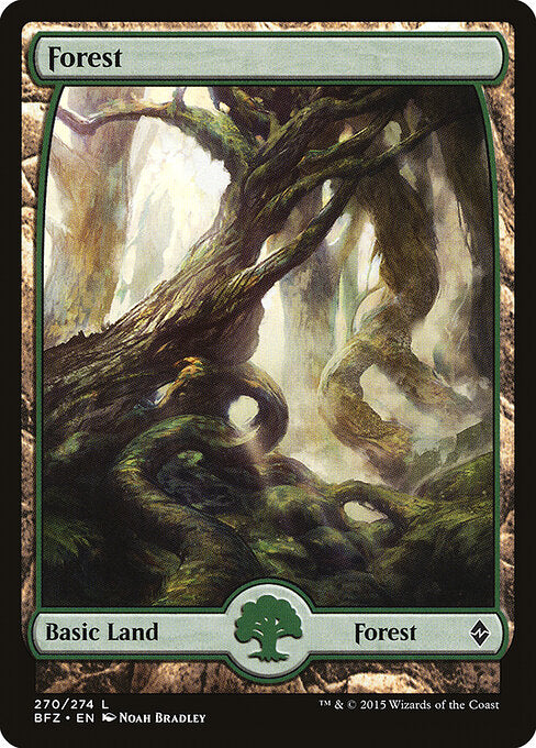 Forest (270) - FULL ART - Battle for Zendikar - Game On