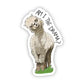 Am I the drama" Llama - Game On