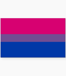 Bisexual Flag Magnet - Game On