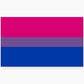 Bisexual Flag Magnet - Game On