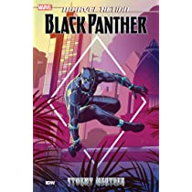 Black Panther Stormy Weather - Game On