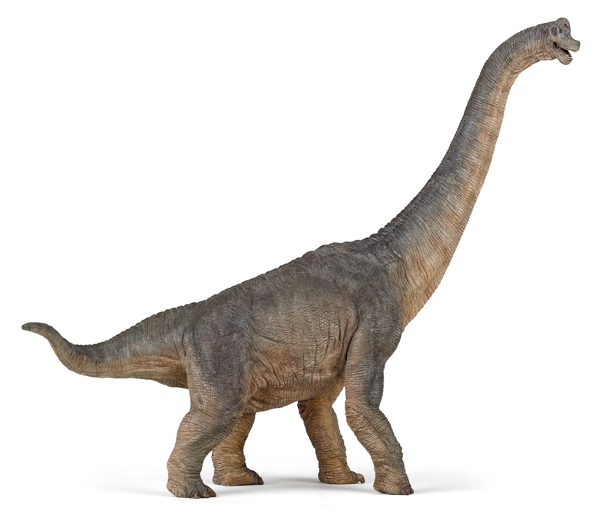 Brachiosaurus - Game On