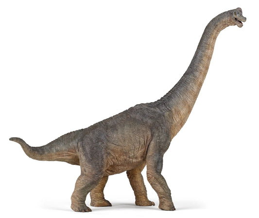 Brachiosaurus - Game On