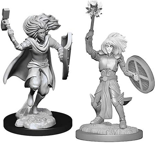 Changeling Cleric - Character - Game On