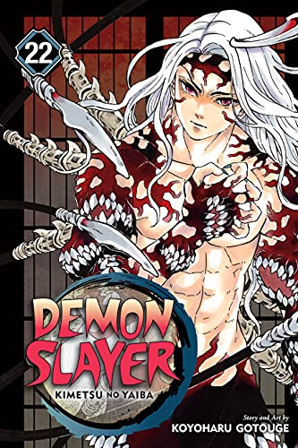 Demon Slayer Kimetsu Vol 22 - Game On